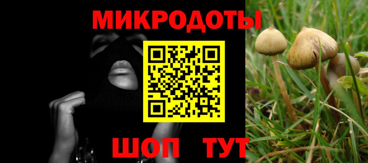 Галлюциногенные грибы прущие грибы Кохма