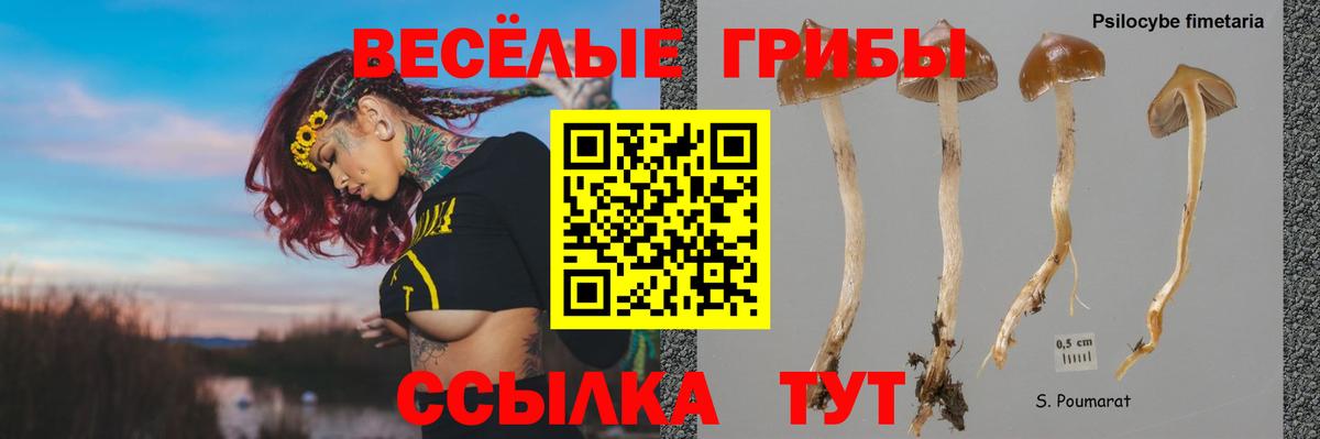 Галлюциногенные грибы ЛСД  Галлюциногенные грибы MAGIC MUSHROOMS  Вход с VPN  Кохма 